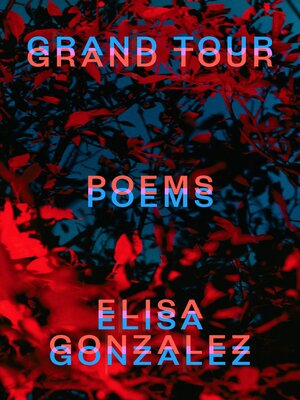 Grand Tour - ebook